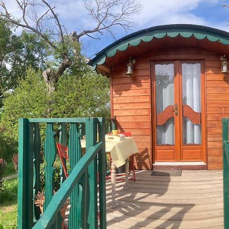 Domaine La Carriere Villa Toulon-sur-Allier Екстериор снимка